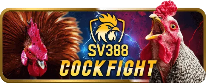Banner và trang đích tùy chỉnh